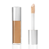 TINTS FEAST Ethereal Light Illuminating Smoothing Concealer