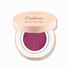 Blush Kusyen TINTS FEAST