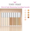 TINTS FEAST Ethereal Light Illuminating Smoothing Concealer