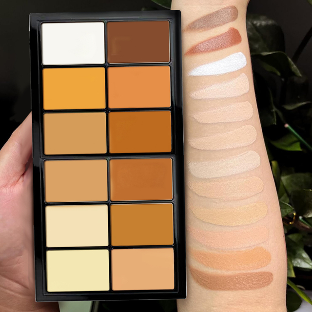 TINTS FEES 12-kleur romerige highlighter kontoerblospalet