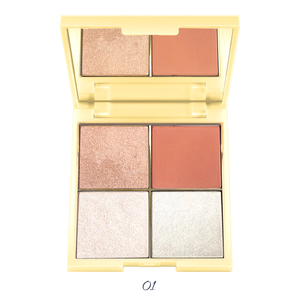 TINTS FEAST 4 สีบลัชออนไฮไลท์ PALETTE โลโก้ OEM