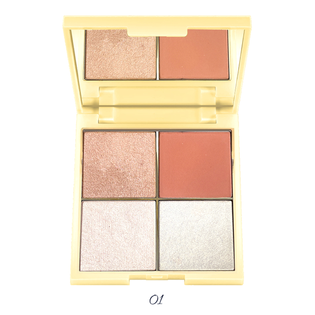 TINTS FEAST 4 COLOR BLUSH HIGHLIGHTER PALETTE OEM LOGO