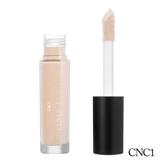 TINTS FEAST Italy Liquid Concealer គុណភាពល្អ