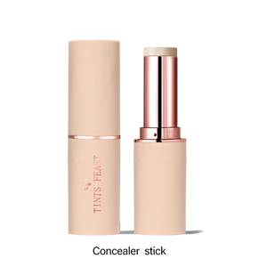 Stick correcteur et surligneur TINTS FEAST