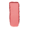TINTS FEAST Blush Powder Natural na glow blush