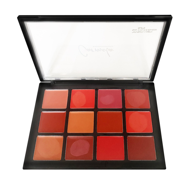 Tints feest 12 kleuren blush palet