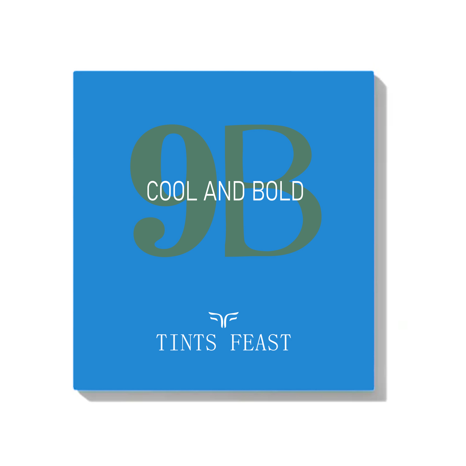 TINTS FEAST 9 Color Eyeshadow lahe ja julge palet