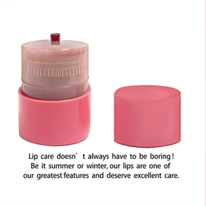 TINTS FEAST Balm liopa&iacute; ildaite Lipstick Twist Moisturizing snasta liopa&iacute;