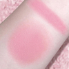 TINTS FEAST Blush Powder Natural na glow blush