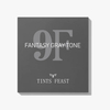 TINTS FEAST 9 ສີ ຂົນຕາແຟນຕາຊີ ສີຂີ້ເຖົ່າ