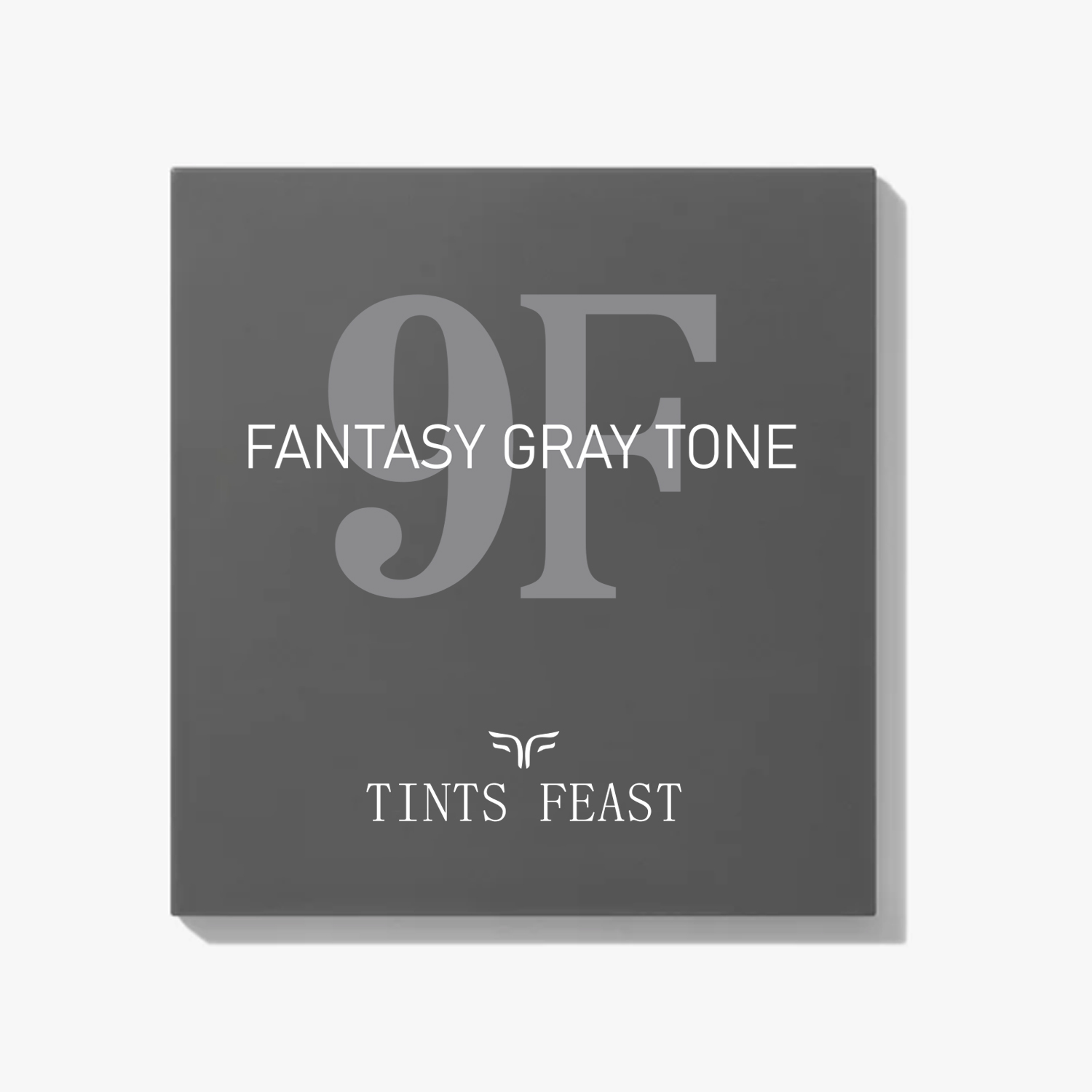 TINTS FEAST 9 ສີ ຂົນຕາແຟນຕາຊີ ສີຂີ້ເຖົ່າ