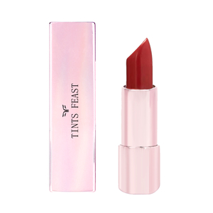 TINTS FEAST MODERN CLASSIC MATTE LIPstick